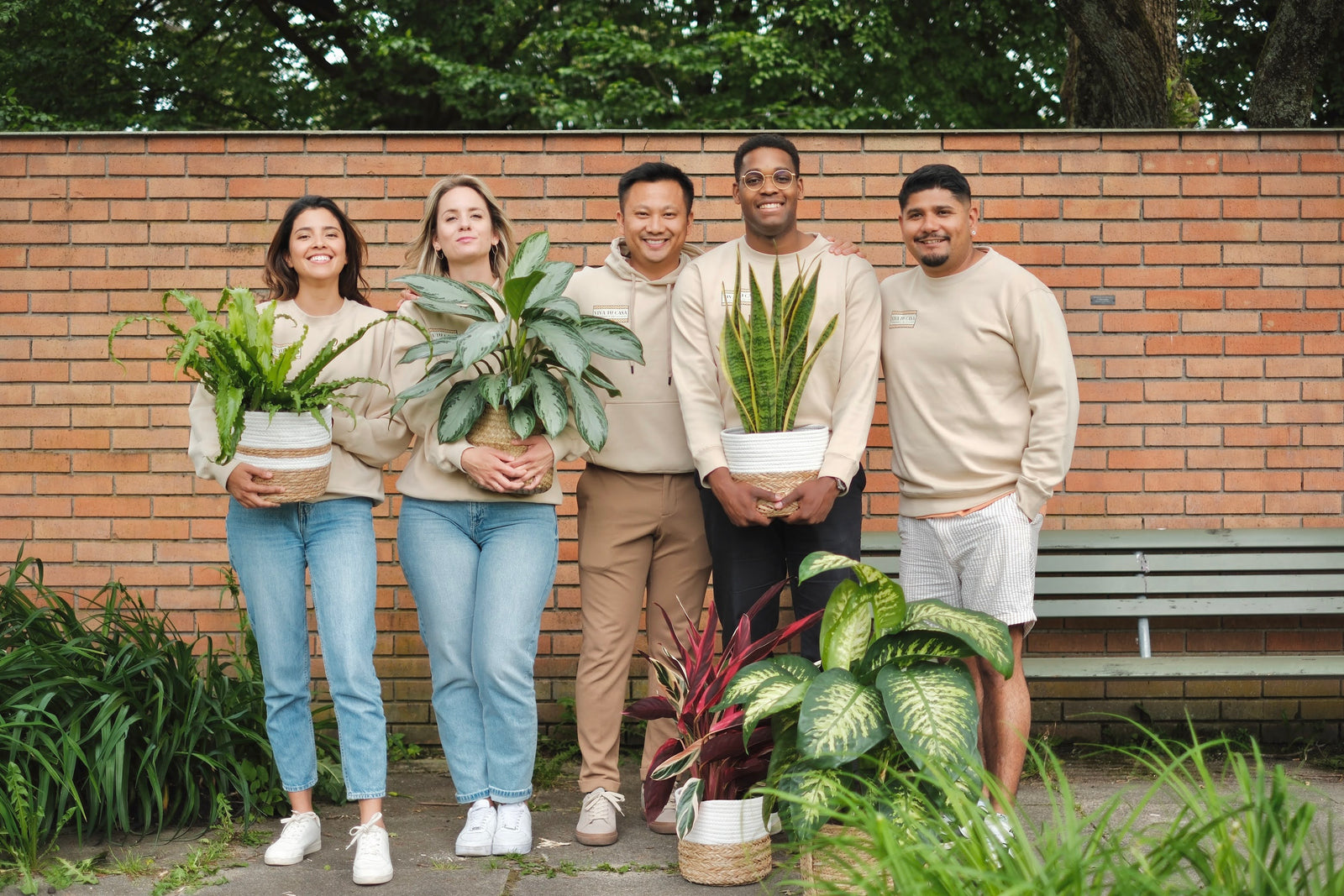 Das Team von Viva Tu Casa mit Pflanzen vor einer Backsteinwand